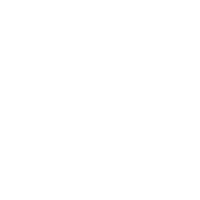 Megafon Icon